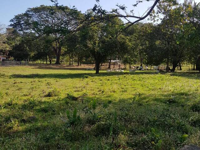 #2 - Finca para Venta en Panamá - 8 - 2