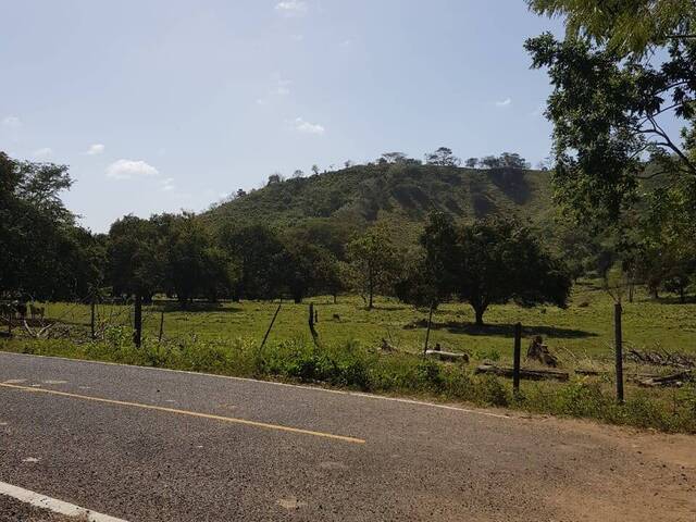 #2 - Finca para Venta en Panamá - 8 - 1