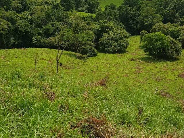 Finca para Venta en Panamá - 5
