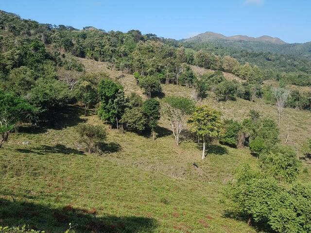 Finca para Venta en Panamá - 4