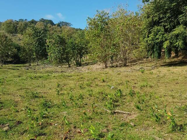 #2 - Finca para Venta en Panamá - 8 - 3