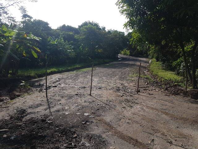 #7 - Finca para Venta en Panamá - 8 - 1