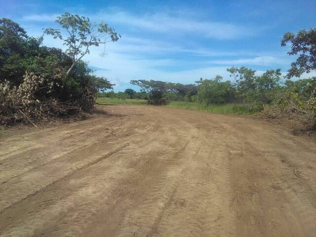 #7 - Finca para Venta en Panamá - 8 - 2