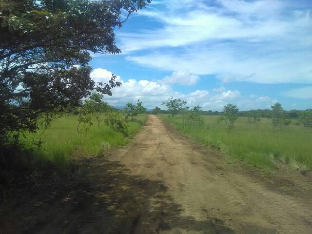 #7 - Finca para Venta en Panamá - 8 - 3
