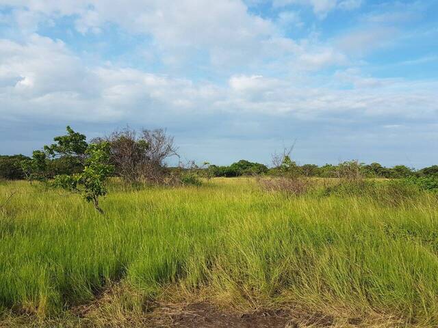Finca para Venta en Panamá - 4