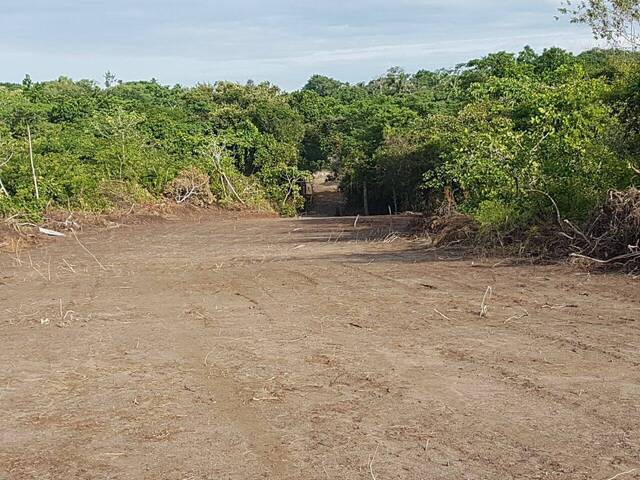 Finca para Venta en Panamá - 5
