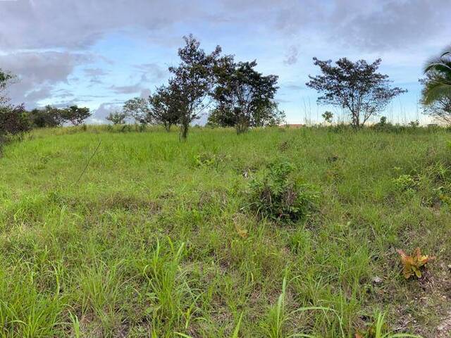 #9 - TERRENOS para Venta en Panamá - 8 - 2