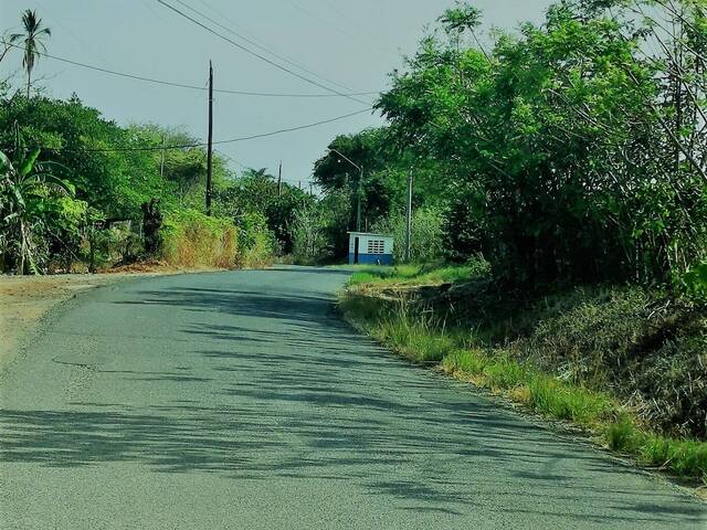 TERRENOS para Venta en Panamá - 4