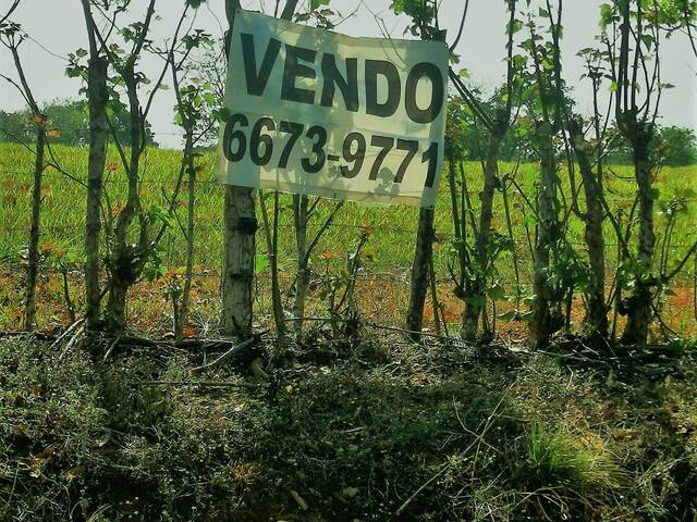TERRENOS para Venta en Panamá - 5