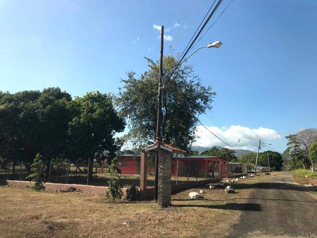  en  - 