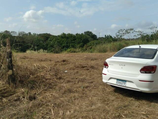 #23 - Terreno para Venta en Panamá - 8 - 3