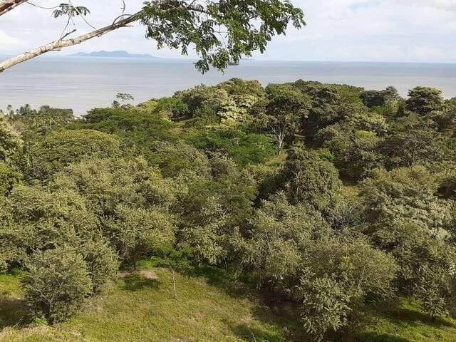 #30 - Finca para Venta en Panamá - 8 - 2