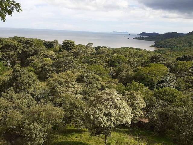 #30 - Finca para Venta en Panamá - 8 - 1
