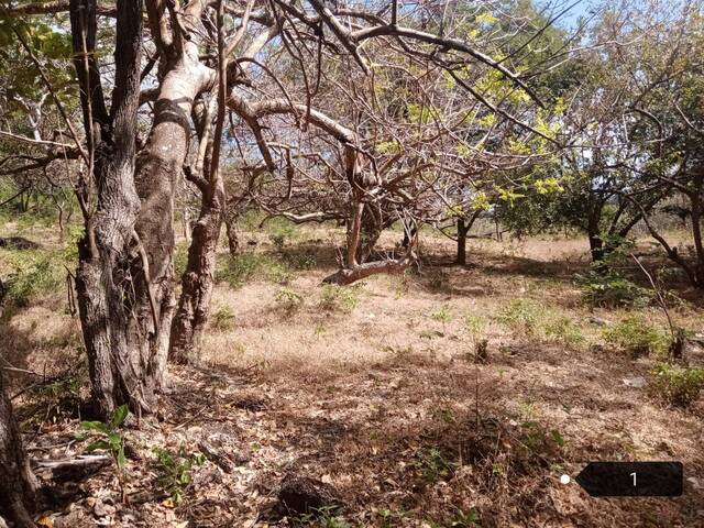 #30 - Finca para Venta en Panamá - 8 - 3