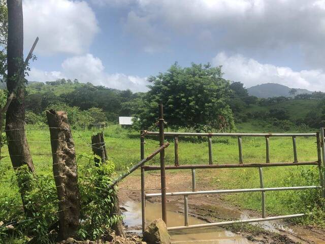 #34 - Finca para Venta en Panamá - 8 - 2