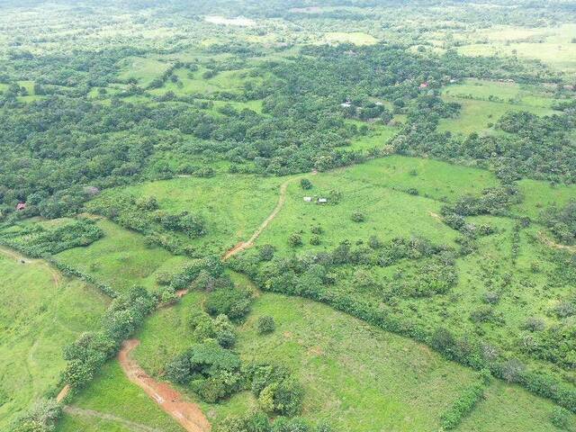#34 - Finca para Venta en Panamá - 8 - 1