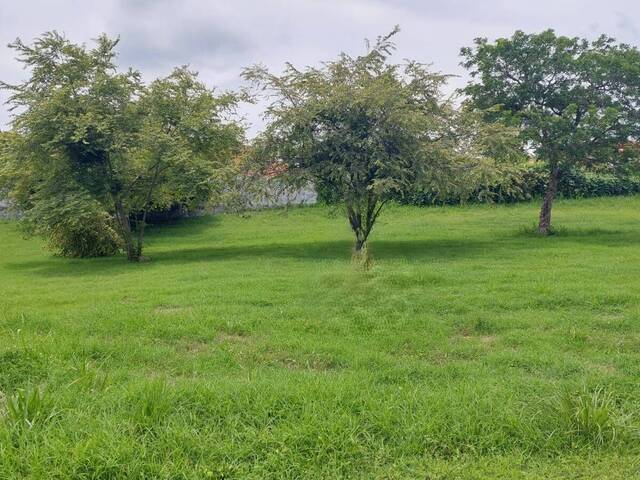 #39 - Terreno para Venta en Panamá - 8 - 1