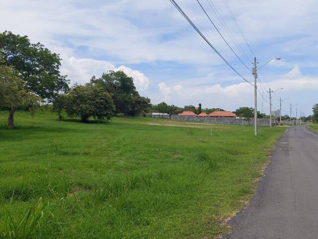 #39 - Terreno para Venta en Panamá - 8 - 2