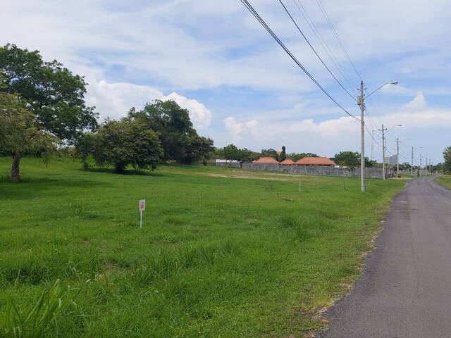 #39 - Terreno para Venta en Panamá - 8 - 3