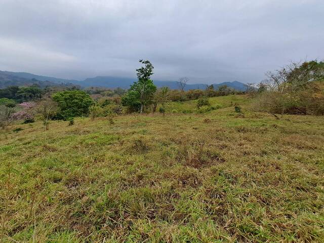 #41 - Finca para Venta en Panamá - 8 - 1