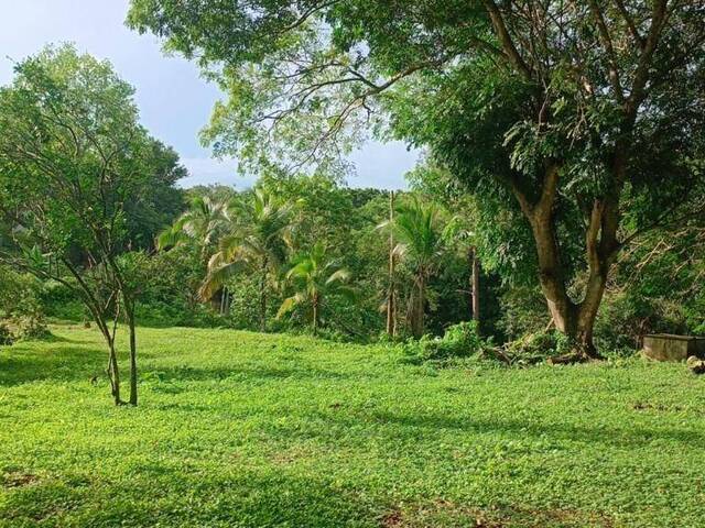 #53 - Finca para Venta en Panamá - 8 - 1