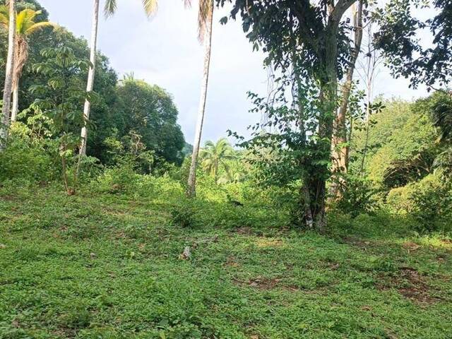 Finca para Venta en Panamá - 5