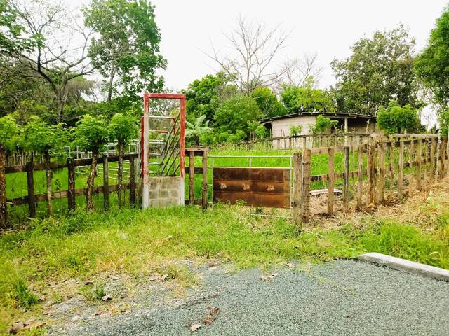 #62 - Finca para Venta en Panamá - 8 - 1
