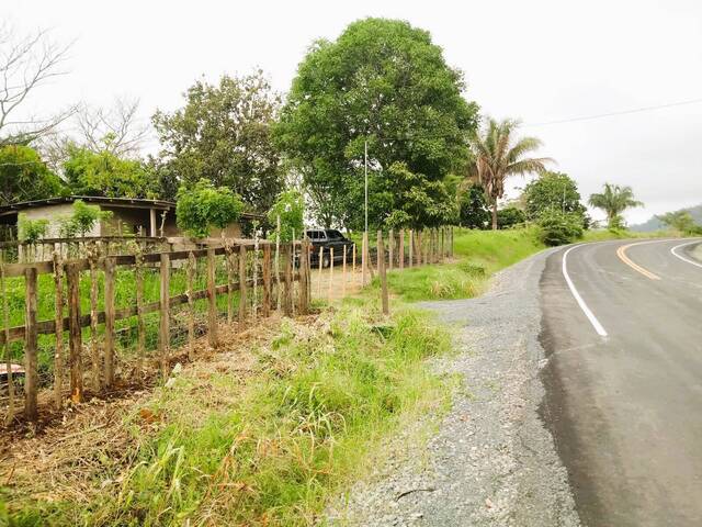#62 - Finca para Venta en Panamá - 8 - 2