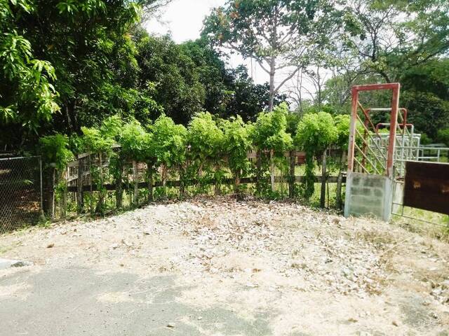 #62 - Finca para Venta en Panamá - 8 - 3