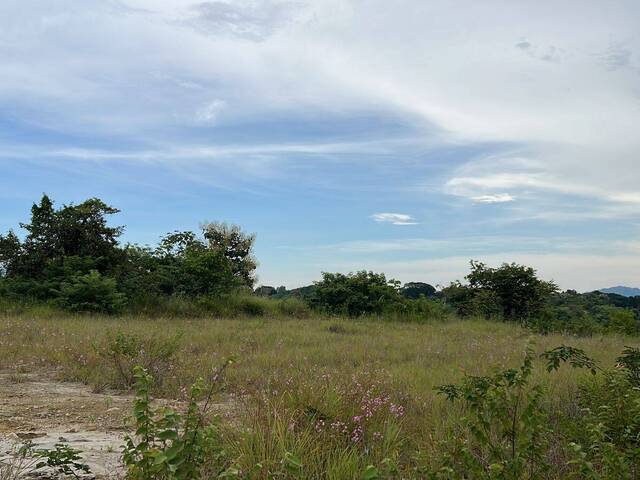 #65 - Terreno para Venta en Panamá - 8 - 1