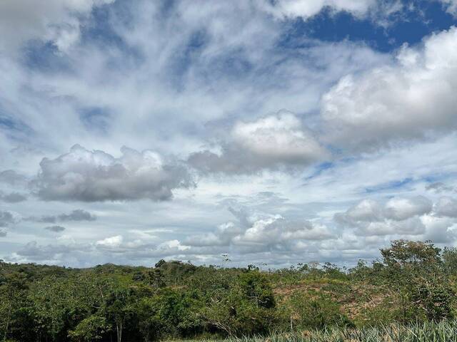 #69 - Finca para Venta en La Chorrera - 13