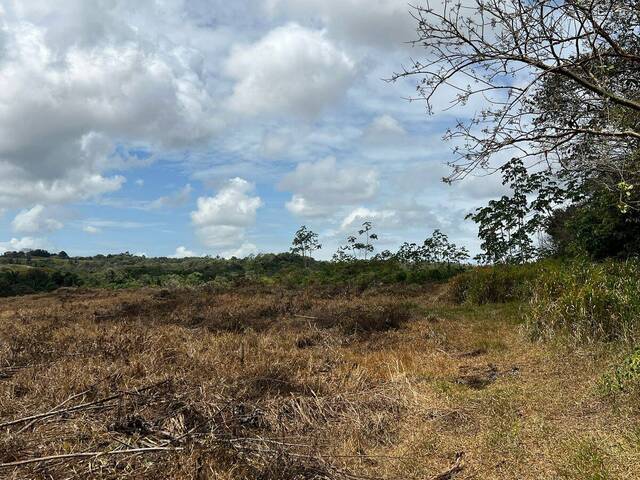 #69 - Finca para Venta en La Chorrera - 13 - 3