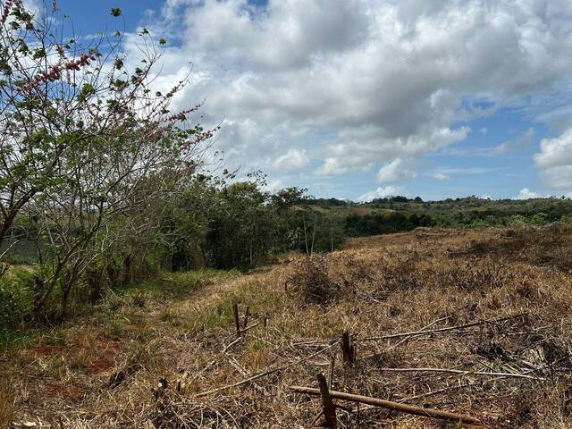 Finca para Venta en La Chorrera - 5